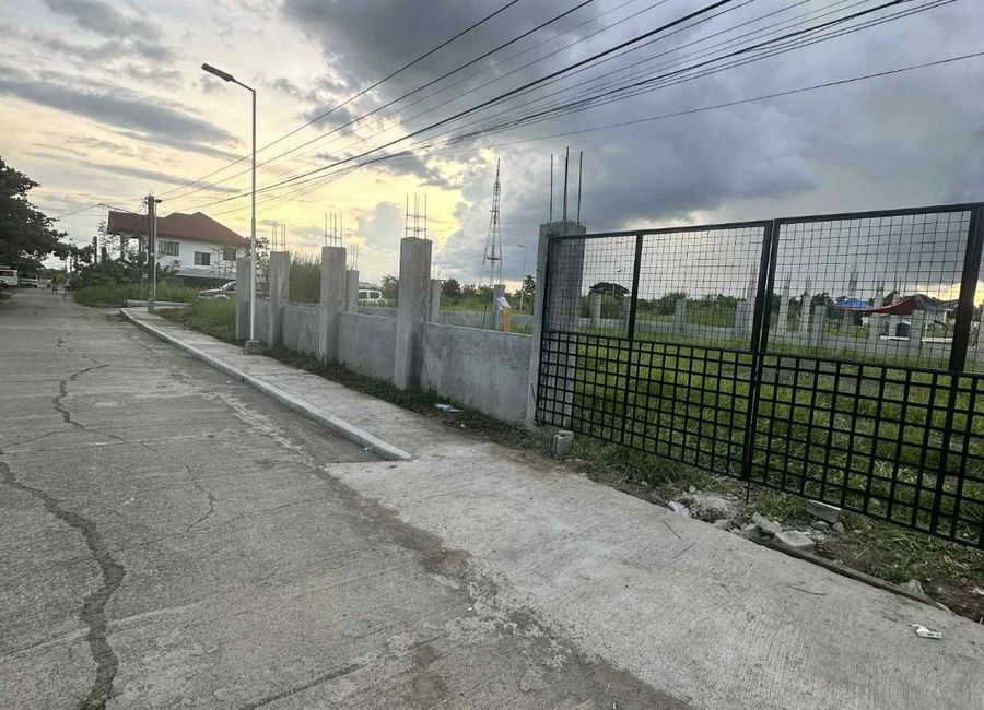 493sqm Commercial and Residential lot near SM at F. Ave. Villa Benita Sub. Cabanatuan City