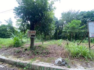 ‼️PRIME LOTS FOR SALE‼️ 📍 La Herencia Subd., Bacolod City