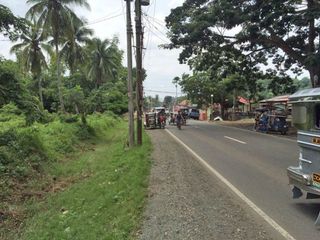 8,236sqm Commercial Land along Main Road in Rosario Batangas
