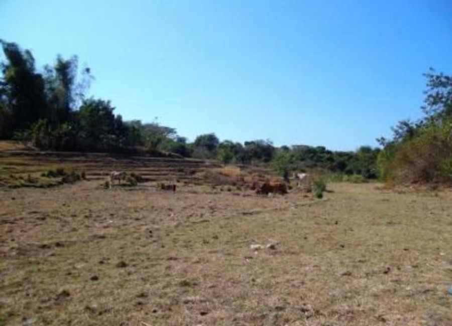 Agricultural Lot for Sale in San Juan, La