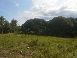 Sibonga farm land and along the road near simala lindogon church