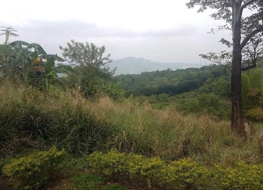 FOR SALE: Vacant Lot in Morong, Rizal