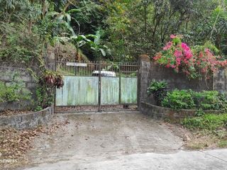 FOR SALE: 10, 266 SQM Vacant lot in Bamban, Tarlac City
