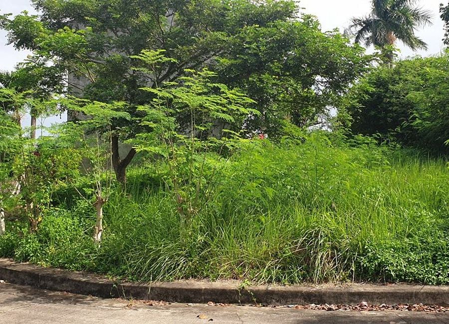 193 sqm Corner Lot For Sale at El Monte Verde de Cebu in Consolacion, Cebu