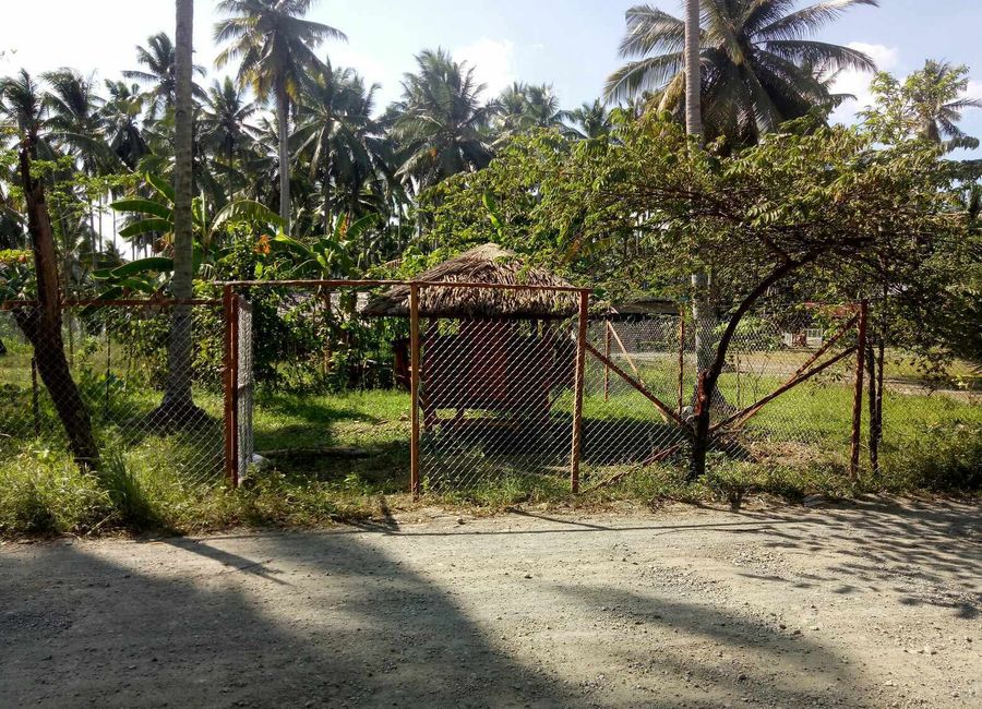 832 sqm Lot For Sale in Tagum City, Davao walking distance to Robinson Mall