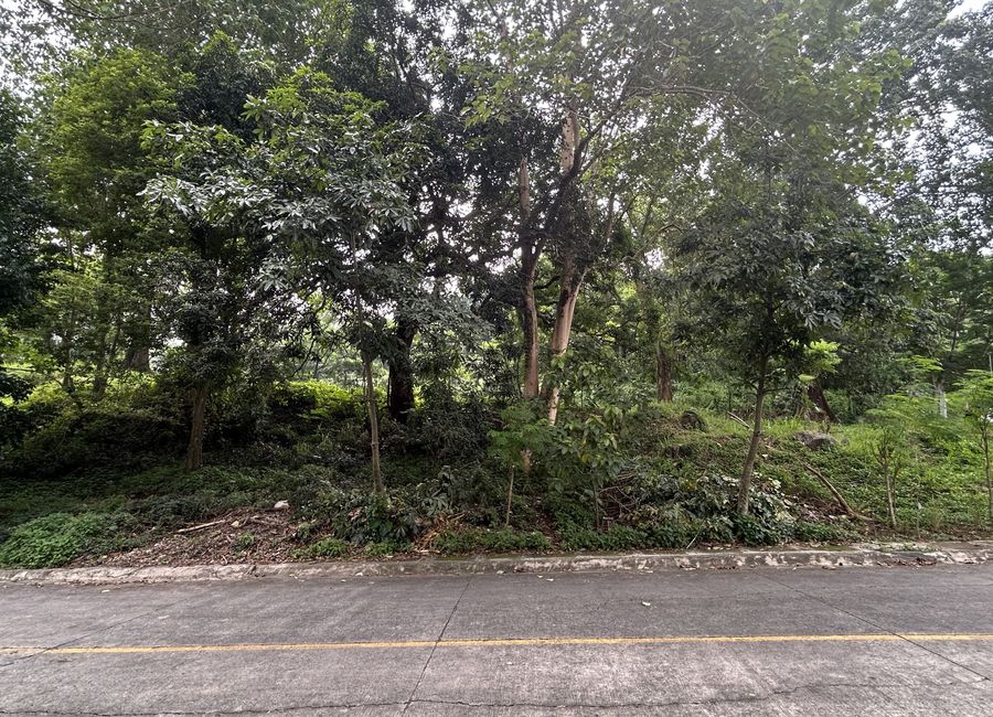 Parkridge Estate Antipolo Vacant Lot for Sale with partialy city view