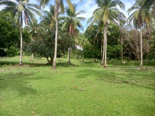 Farm Lot for Sale at Del Gallego Camarines Sur Bicol near main hiway