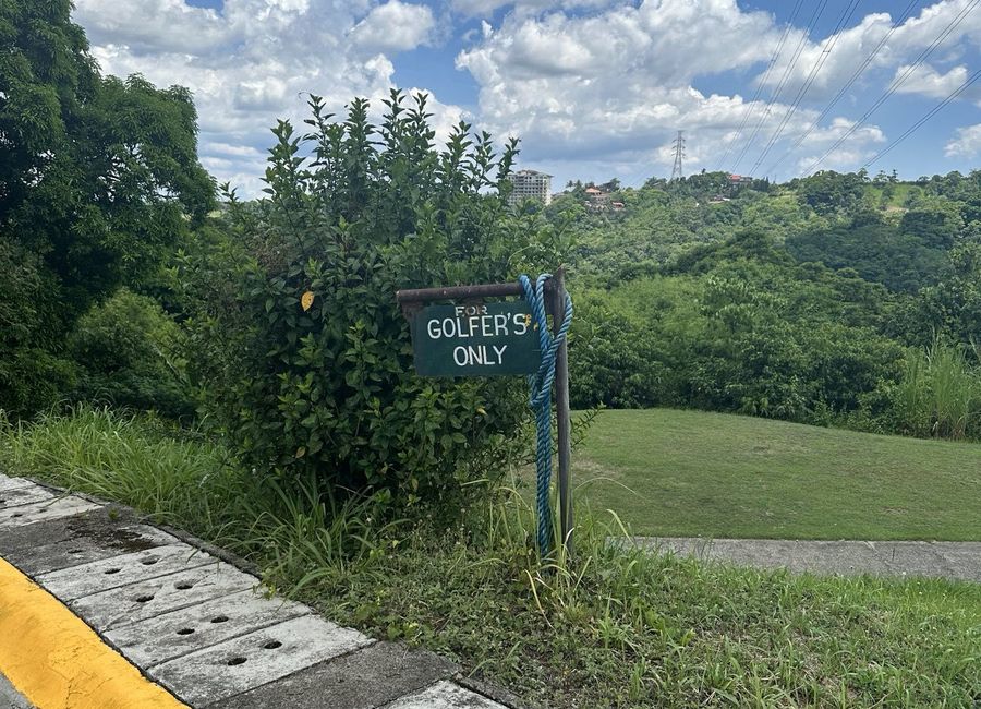 place photo 39