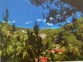 For Sale: Baguio City Entire Residential Subdivided RawLand for Sale