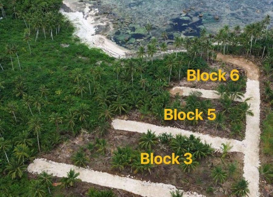 Beach Lot for sale in Siargao, Surigao Del Norte