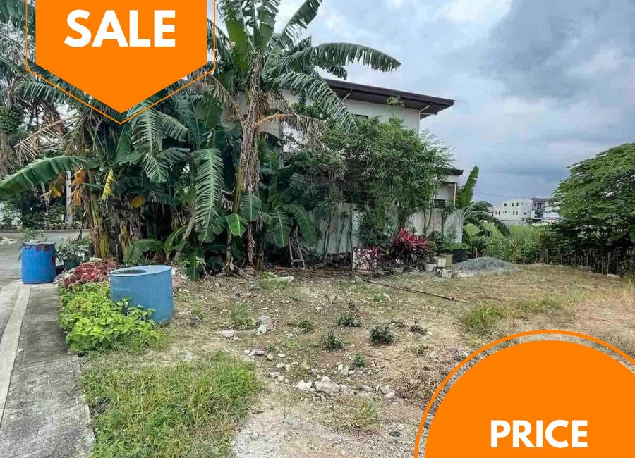 Kasoy Street, Phase 8D, Greenwoods Executive Village vacant lot