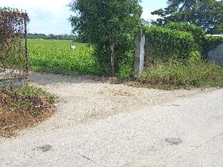 FARMLOT IN SAN JUAN BATANGAS FOR SALE