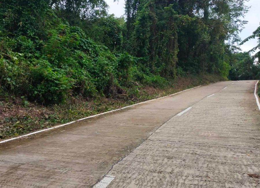 1000SQM SEAVIEW PROPERTY ALONG THE ROAD IN BRGY TENEGUIBAN, EL NIDO