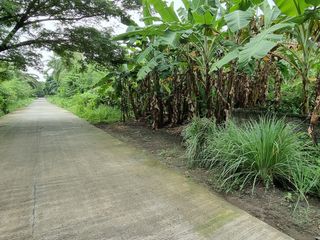 Foreclosed Property Lot Only - Capipisa, Tanza, Cavite