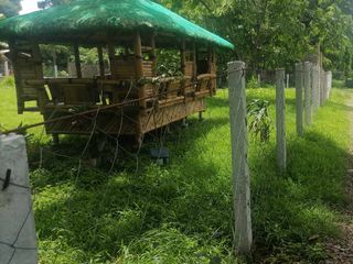 FARM LOT WITH FRUIT BEARING TREES