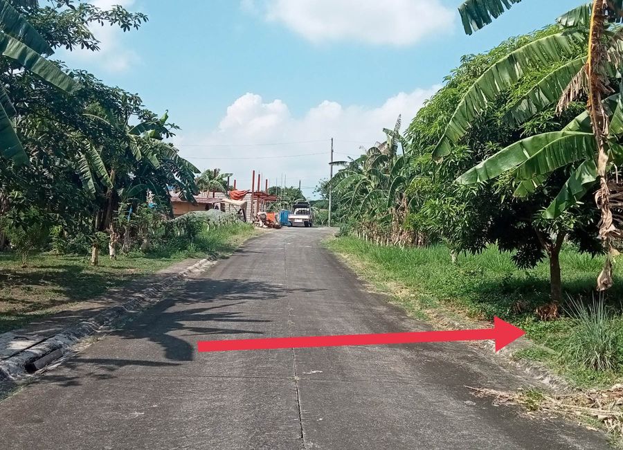 Residential Lot for Sale in Dasmariñas Cavite - 12,000/sqm Negotiable!