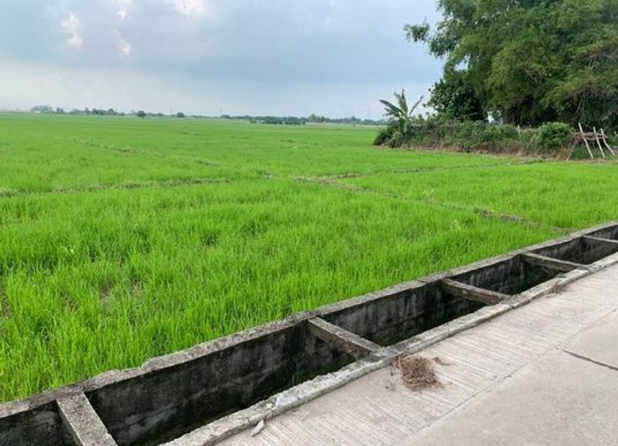 9,000 square meters Farm Lot for Sale in Magalang, Pampanga