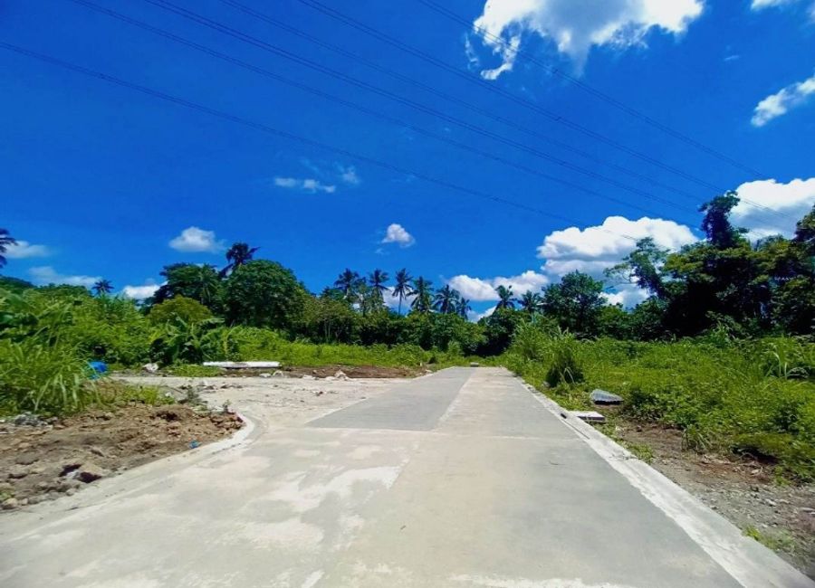 Title lot Malapit sa Tagaytay - Lot for Sale in Mendez, Cavite