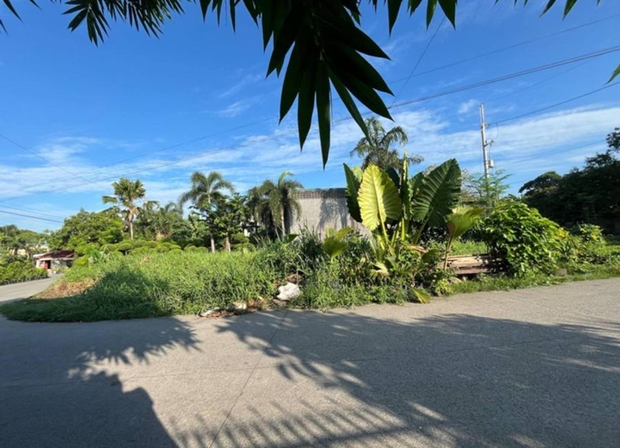 For Sale Residential Vacant Lot 475 sqm in Guiguinto Bulacan