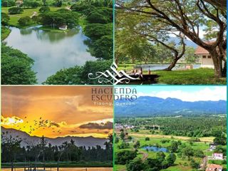 For Sale: Residential Farm Lot in Hacienda Escudero, Tiaong, Quezon