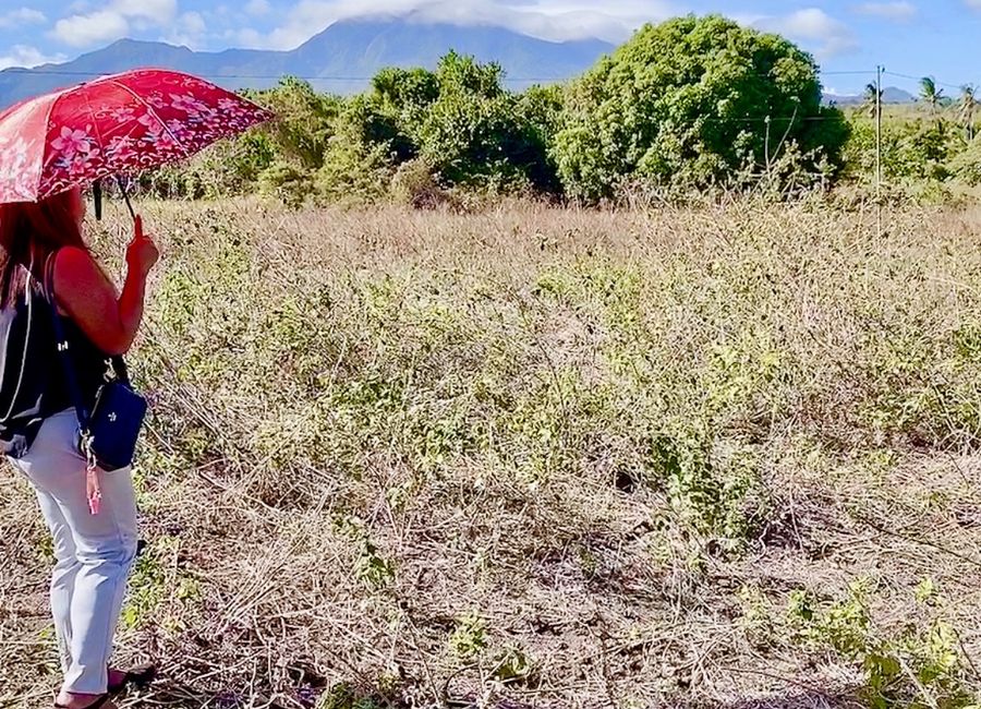 Mountain View Lot un Dauin