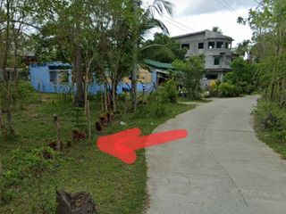Lot near Laiya Beach. Good for air bnb.
