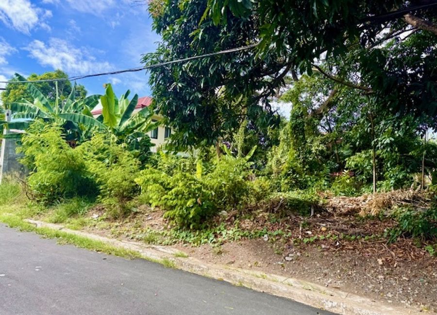 Bargain Vacant Lot UPS 4 Paranaque