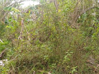 House and Lot for Sale along main road Gen Trias City Cavite with Parking
