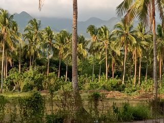 Lipa Land with Mountain Views - 52197sqm Residential Zoned Lot - 261m PHP