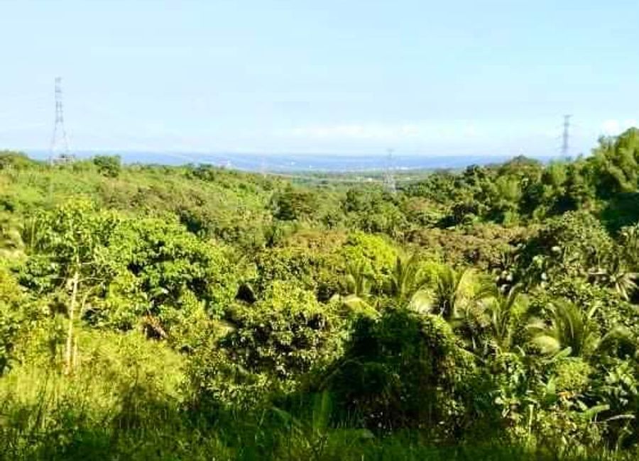 Titled lot Overlooking Manila Bay