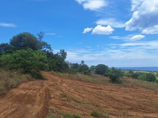 Commercial Lot for Sale | Starting at 8K/SQM | Brgy. Paysawan, Bagac, Bataan