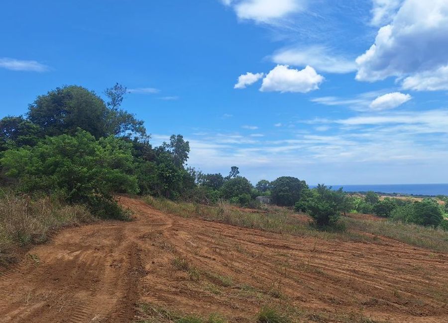 Commercial Lot for Sale | Starting at 8K/SQM | Brgy. Paysawan, Bagac, Bataan