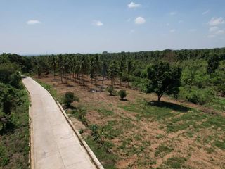 Overlooking Residential Lots For Sale in Orani, Bataan (Starts at P15k/month)