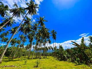2.4852 ha Agricultural Lot for Sale at Sitio Minlagas, San Luis, Gingoog City