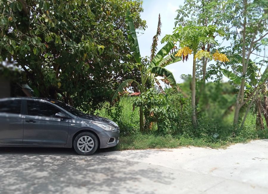 Residential Lot For Sale in San Fernando Pampanga 4.5K / sqm