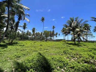 4,957 sqm Maanas, Medina Agricultural Lot for Sale