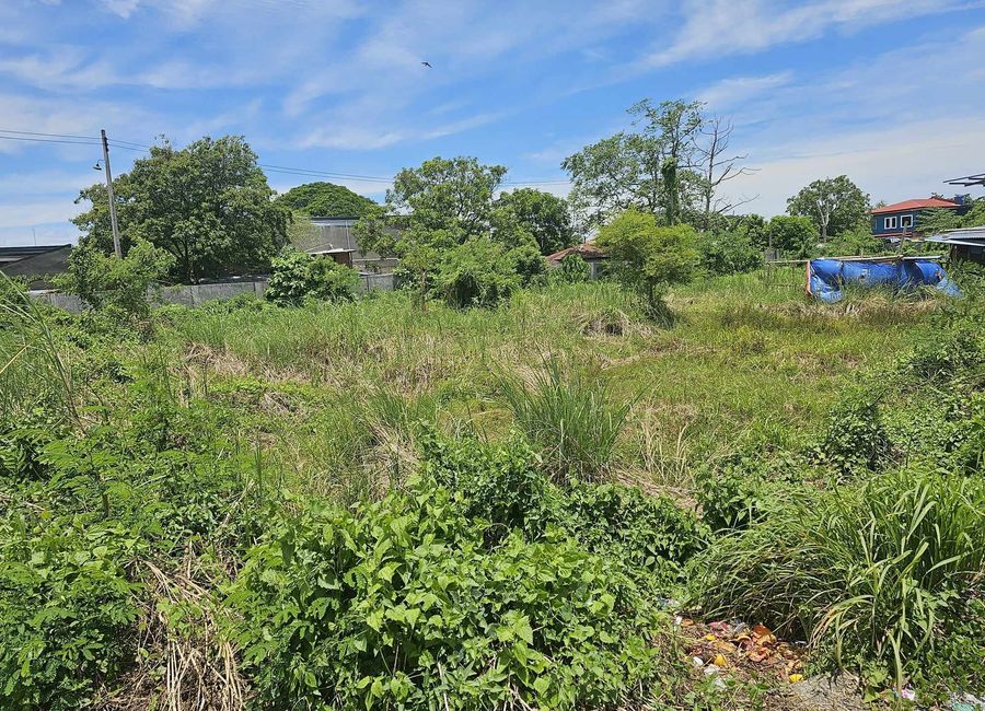 Accessible Lot at an Exclusive Subdivision for sale in Mandurriao, Iloilo City