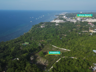Attention : investors / entrepreneurs/ hotel or resort owners, developers. Vacant Lot for Sale near Alona Beach, great for villas in Panglao Bohol!