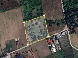 EH-1131: ! For Sale ! 13,623 Sqm Farm Lot located at Conception, Tarlac