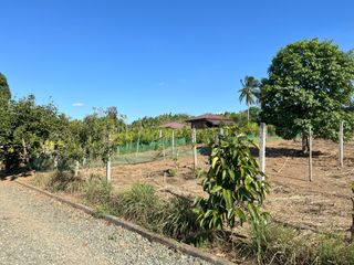 For sale: 1 Hectare Lot along General Trias, Amadeo, Cavite near Tagaytay