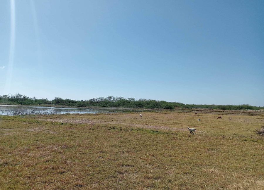 Lot for Sale AgriLand near river bank