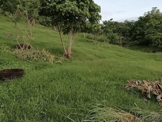 for sale antipolo ,rizal land for sale  cheapest 2.75 hectares (Teresa Rizal )