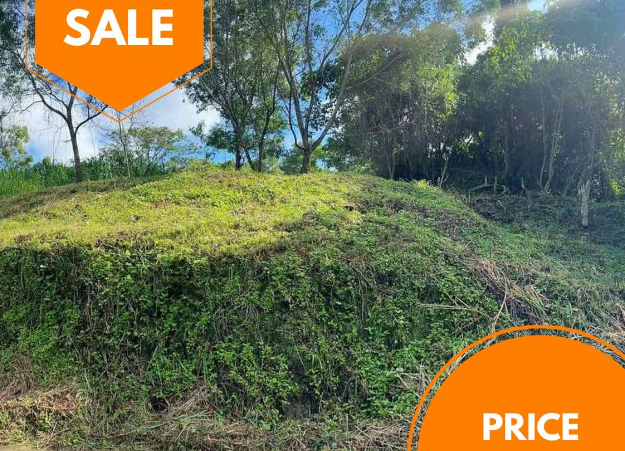 Silver Fir Street, Phase 3A, Eastland Heights vacant lot
