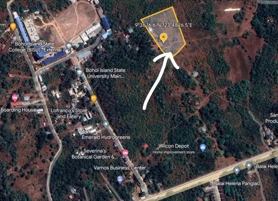 Rush For Sale: 500 sqm Residential Lot in Bingag, Dauis, Bohol