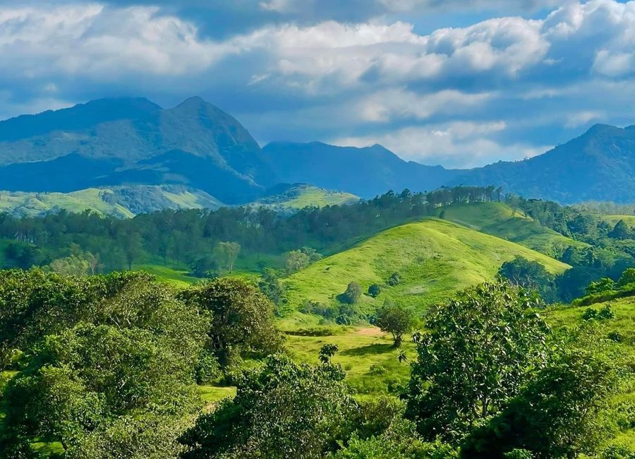 Individual Titled Farmlot For Sale in Bagac Country Farms 1- Ready for Transfer!