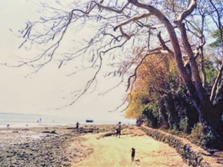 PRIME LA UNION BEACH PROPERTY