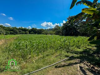 Hectare Land for sale at Aringay, La Union