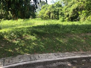 Prime Residential Lot for sale - Leisure Farms, Lemery, Batangas