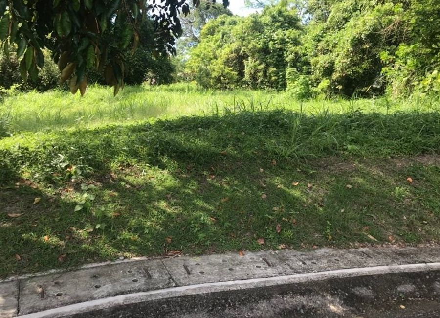 Prime Residential Lot for sale - Leisure Farms, Lemery, Batangas