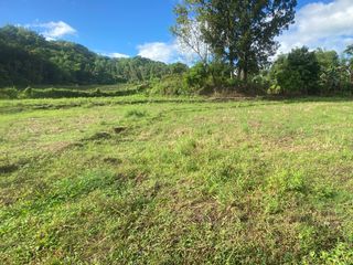 Diversified Farmlot